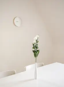 Read more about the article Choosing the Perfect Flower Vase for Your Home Decor.