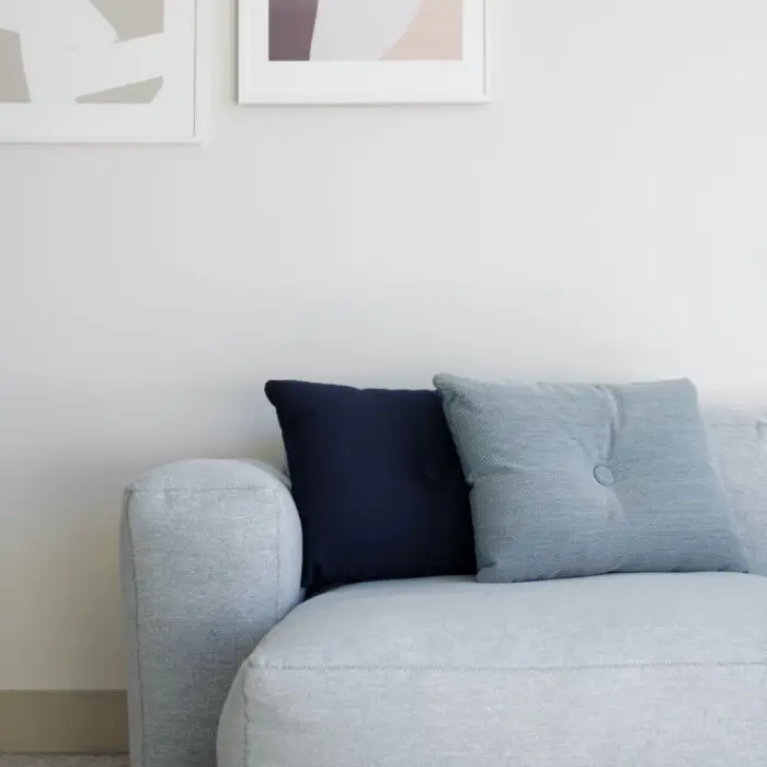 Grey Couch